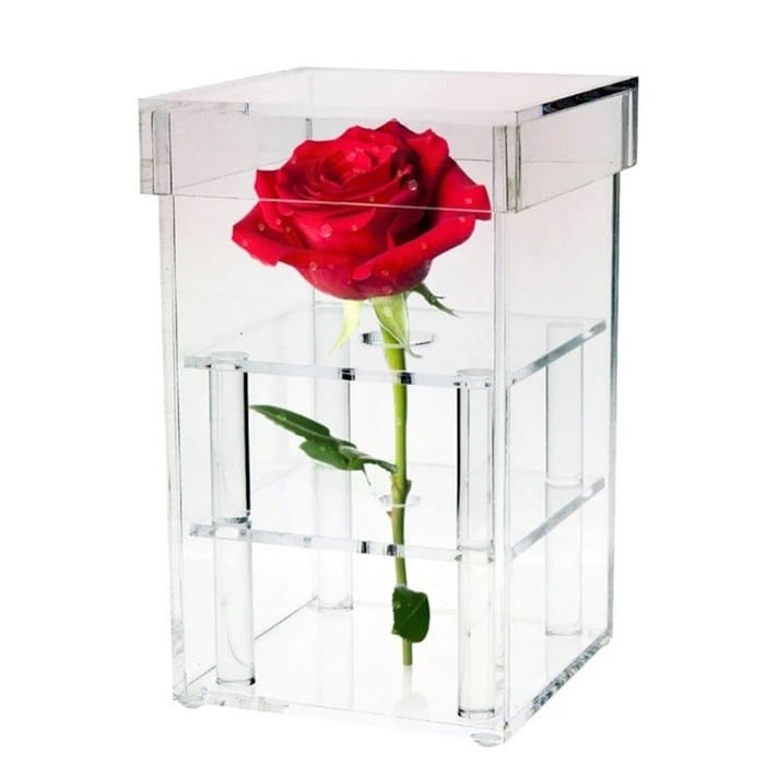 Luxury Rose